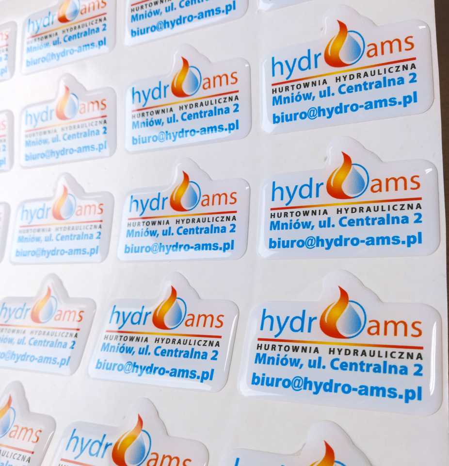 naklejki doming z logo Hydro-ams