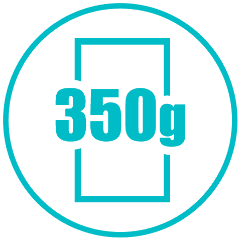 sztywny kartonik 350g ikona 350g